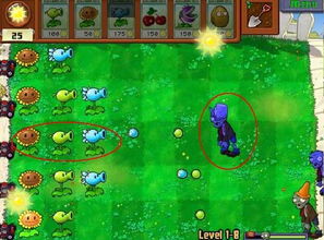 植物猎人游戏攻略 VS 游戏star攻略
